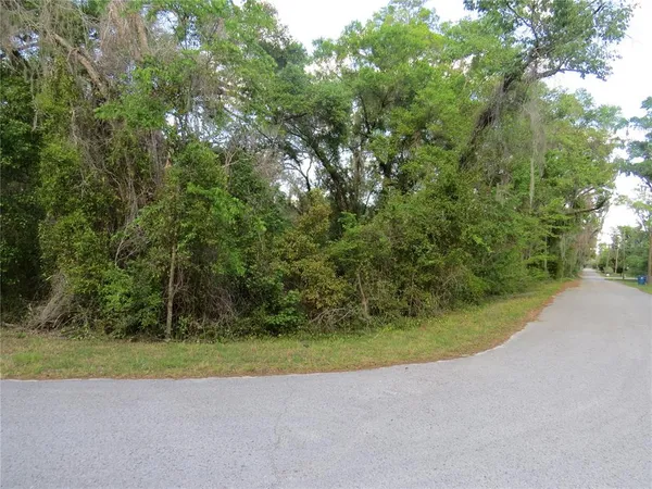 $550,000 | 28380 Forbes Street, Nobleton, FL 34661