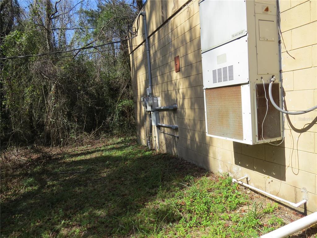 28380 Forbes Street Nobleton, FL 34661 - Photo 7 of 19 a backyard of a house with lots of green space and plants