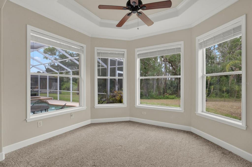 9137 Creedmoor Lane New Port Richey, FL 34654 - Photo 22 of 62