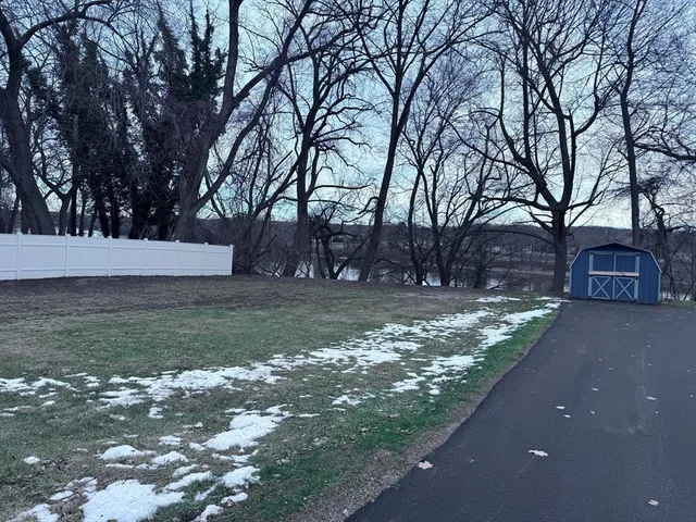 a view of a yard with a large tree