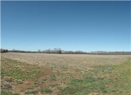 1004 Walnut Grove Road Christiana, TN 37037 - Photo 4 of 7