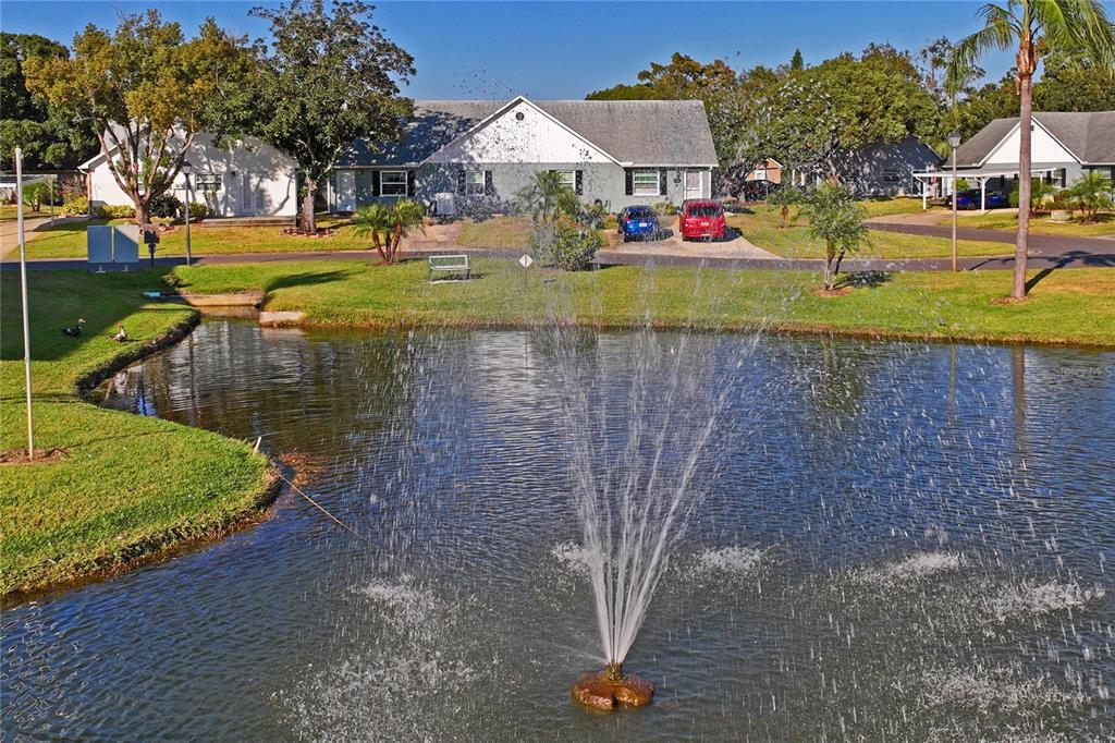 6709 Timbercove Lane, Unit 6709 New Port Richey, FL 34653 - Photo 4 of 52 a view of outdoor space yard and swimming pool