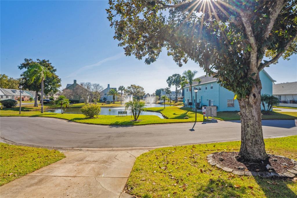 6709 Timbercove Lane, Unit 6709 New Port Richey, FL 34653 - Photo 5 of 52 a view of swimming pool with garden