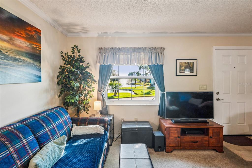 6709 Timbercove Lane, Unit 6709 New Port Richey, FL 34653 - Photo 8 of 52 a living room with furniture and a flat screen tv