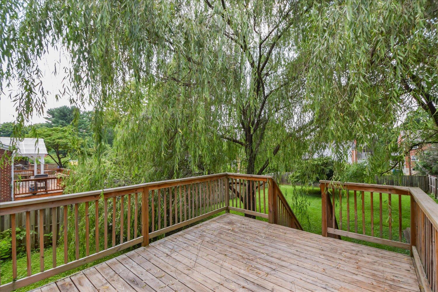 2117 Carter Road Southwest Roanoke, VA 24015 - Photo 20 of 24 21-2117 Carter-23