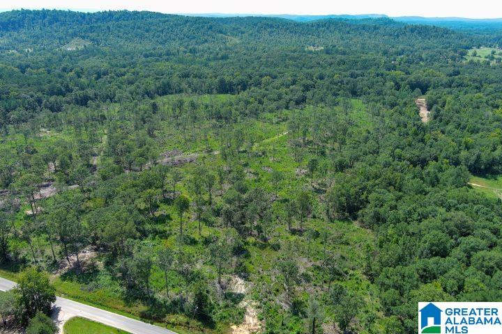 209 Harts Ferry Road, Unit 3 Ohatchee, AL 36271 - Photo 9 of 24
