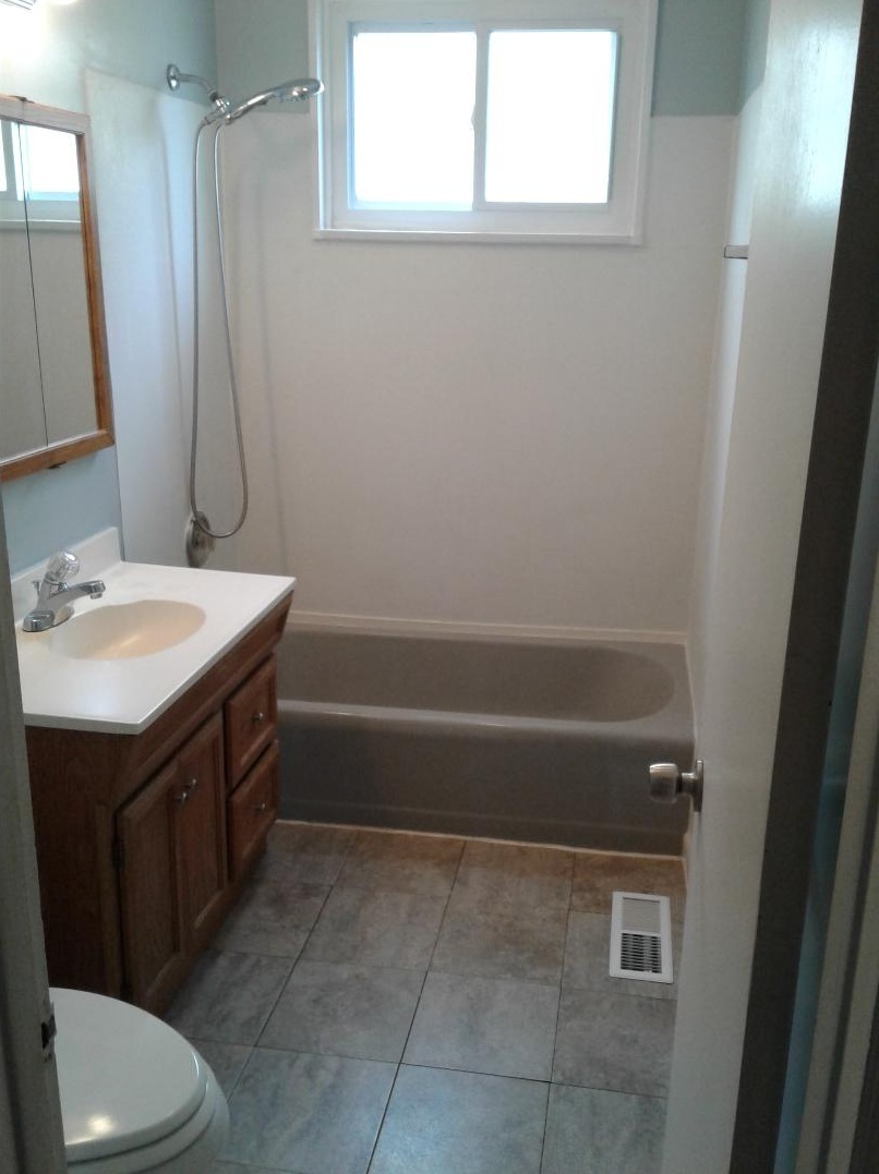 6321 Dunham Road Downers Grove, IL 60516 - Photo 7 of 13