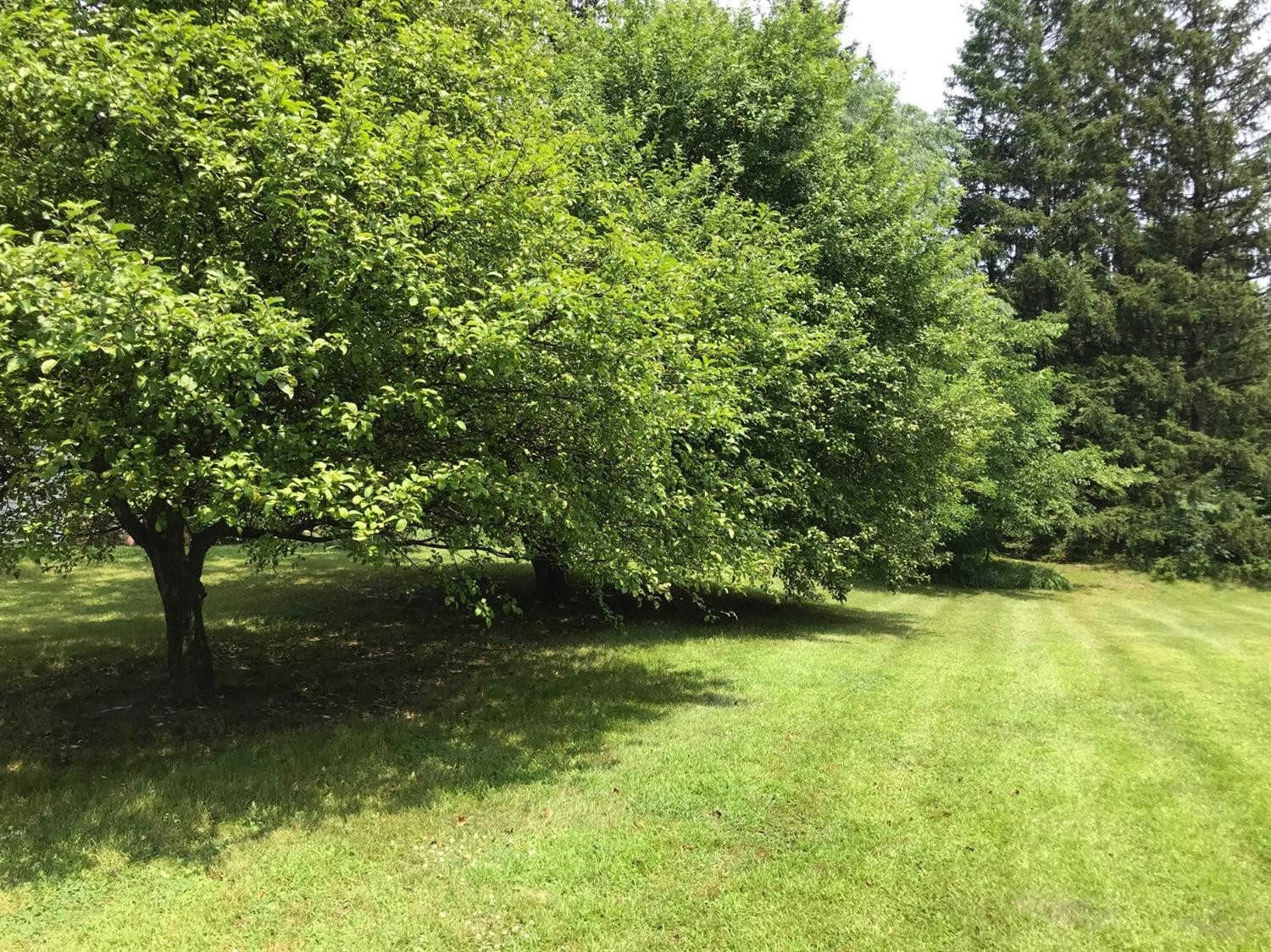 2250 Baker Road Dexter, MI 48130 - Photo 32 of 35 Photo 32