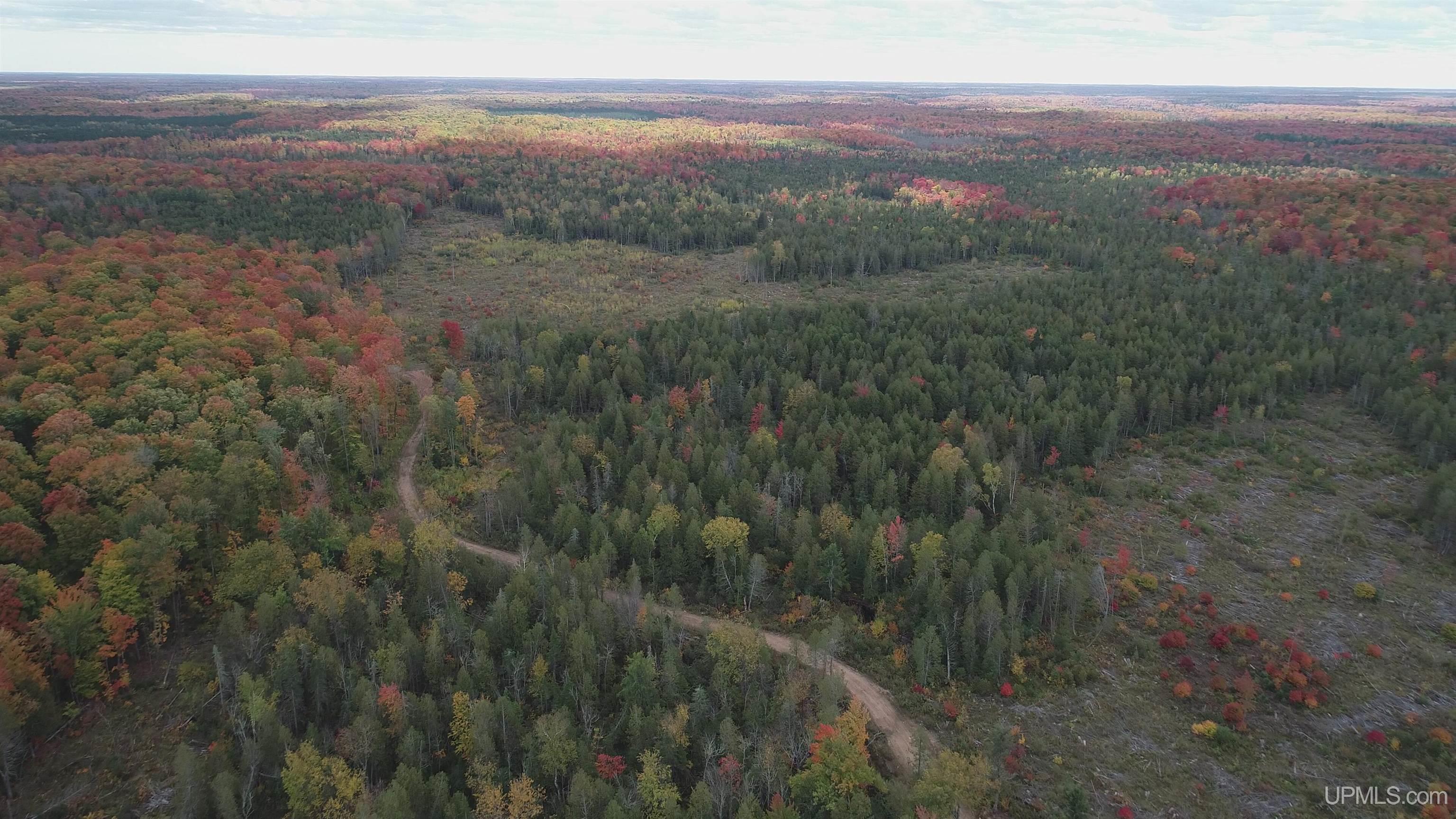 327 Rd Rumely Mi 49826 Road Skandia, MI 49885 - Photo 21 of 23