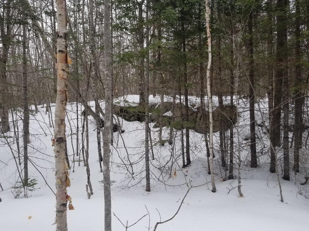 0 Hobbstown Road Milo, ME 04463 - Photo 5 of 30 View of lot with ledge outcrop