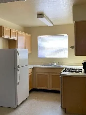 a kitchen with stainless steel appliances a stove a refrigerator and a sink
