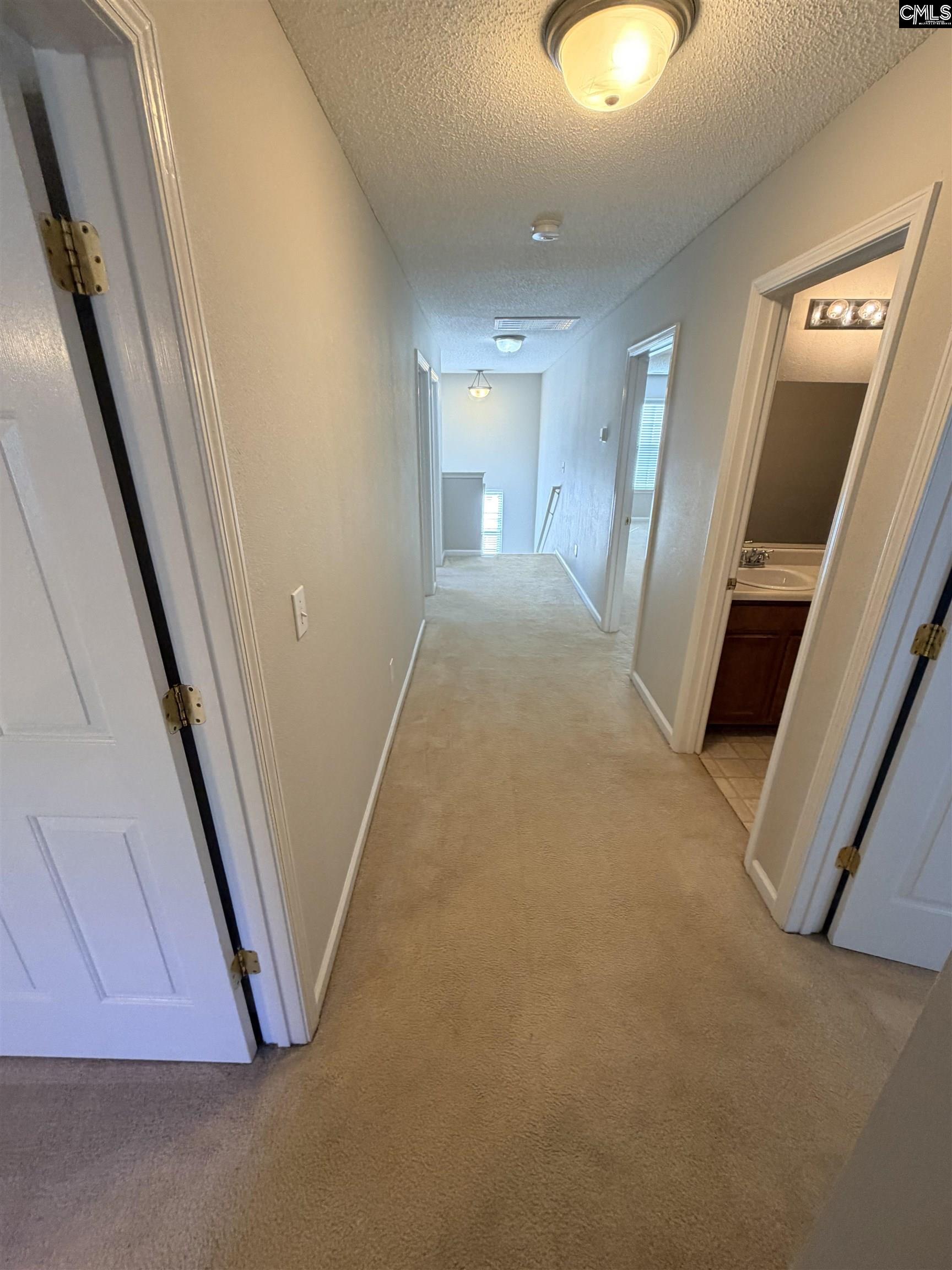 5 Redbrush Court Chapin, SC 29036 - Photo 25 of 36