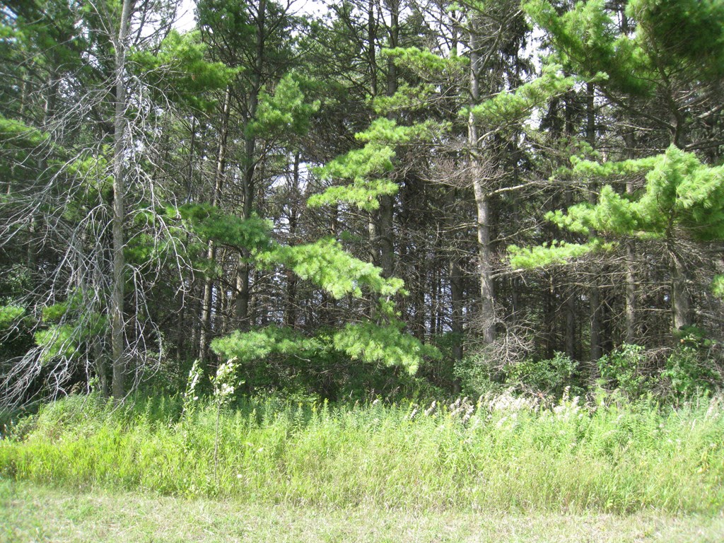 Lot 10 Hainesville Road Sturgeon Bay, WI 54235 - Photo 2 of 2
