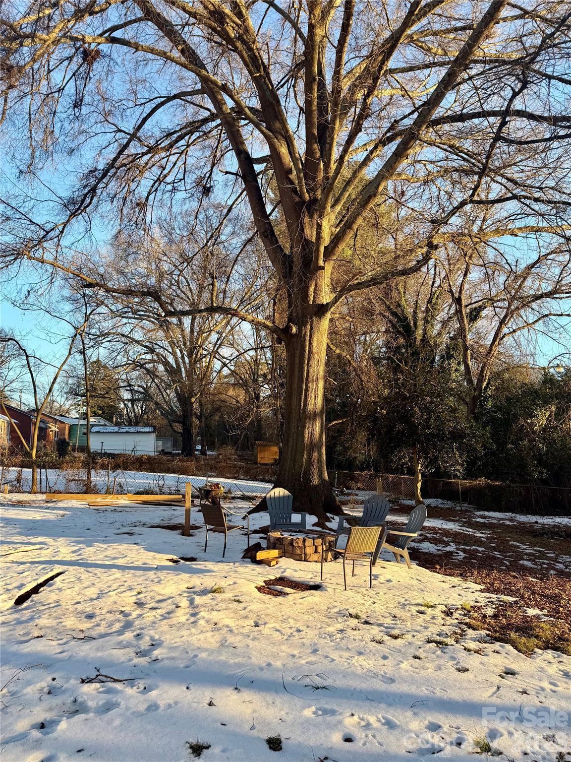 433 Brevard Street Statesville, NC 28677 - Photo 26 of 33 a view of a yard with trees