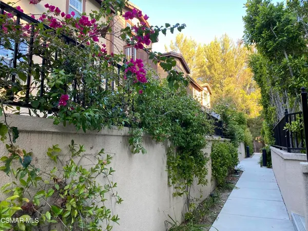 a picture of flowers