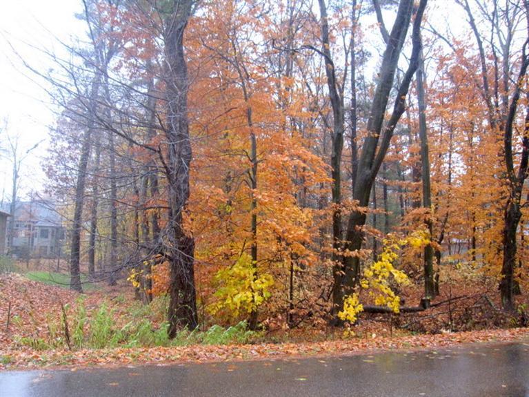 15402 Rannes Street Spring Lake, MI 49456 - Photo 1 of 3 Primary Photo