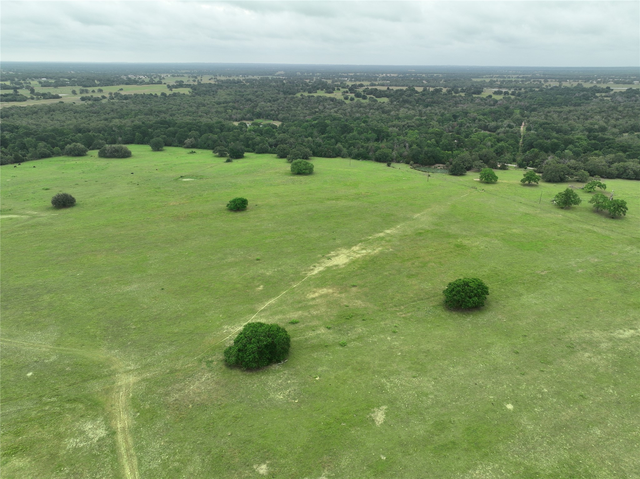 127 Rd Ledbetter Tx 78946 Road Ledbetter, TX 78946 - Photo 13 of 14 a view of a lush green field
