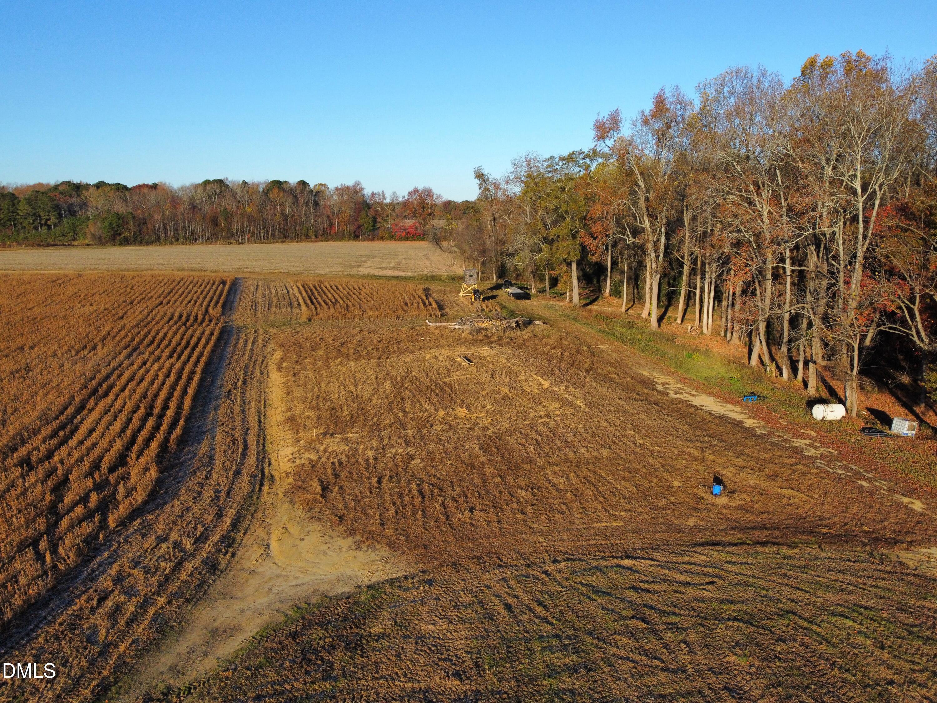 553 Ollie Road Kenly, NC 27542 - Photo 13 of 27 dji_fly_20251118_075616_91_1763471302767