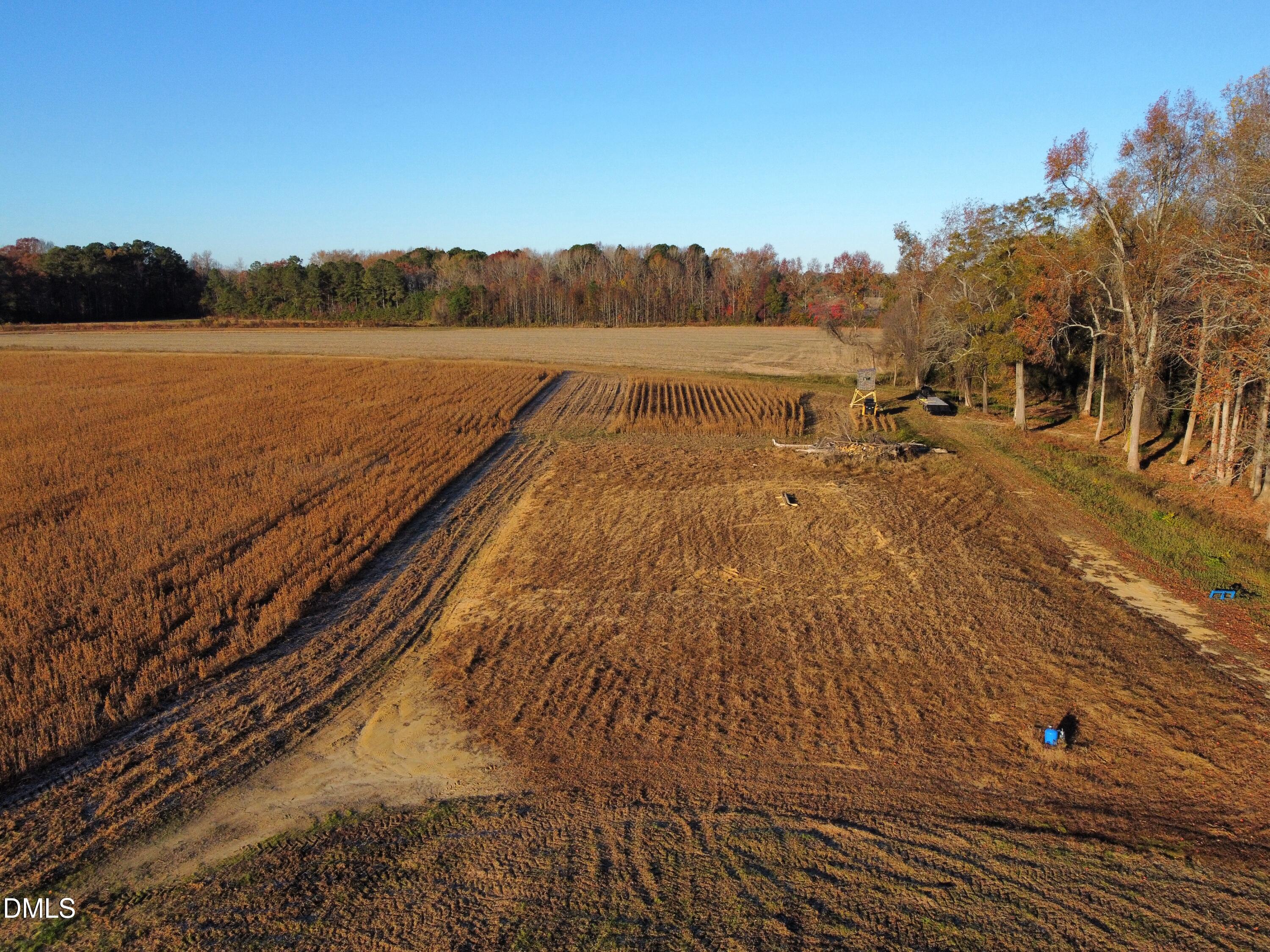 553 Ollie Road Kenly, NC 27542 - Photo 15 of 27 dji_fly_20251118_075628_92_1763471303910