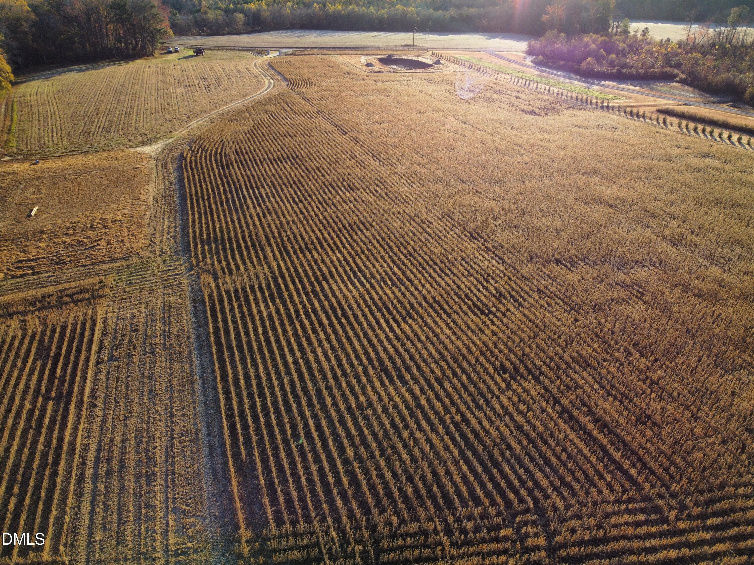 553 Ollie Road Kenly, NC 27542 - Photo 18 of 27 dji_fly_20251118_075830_97_1763471305032