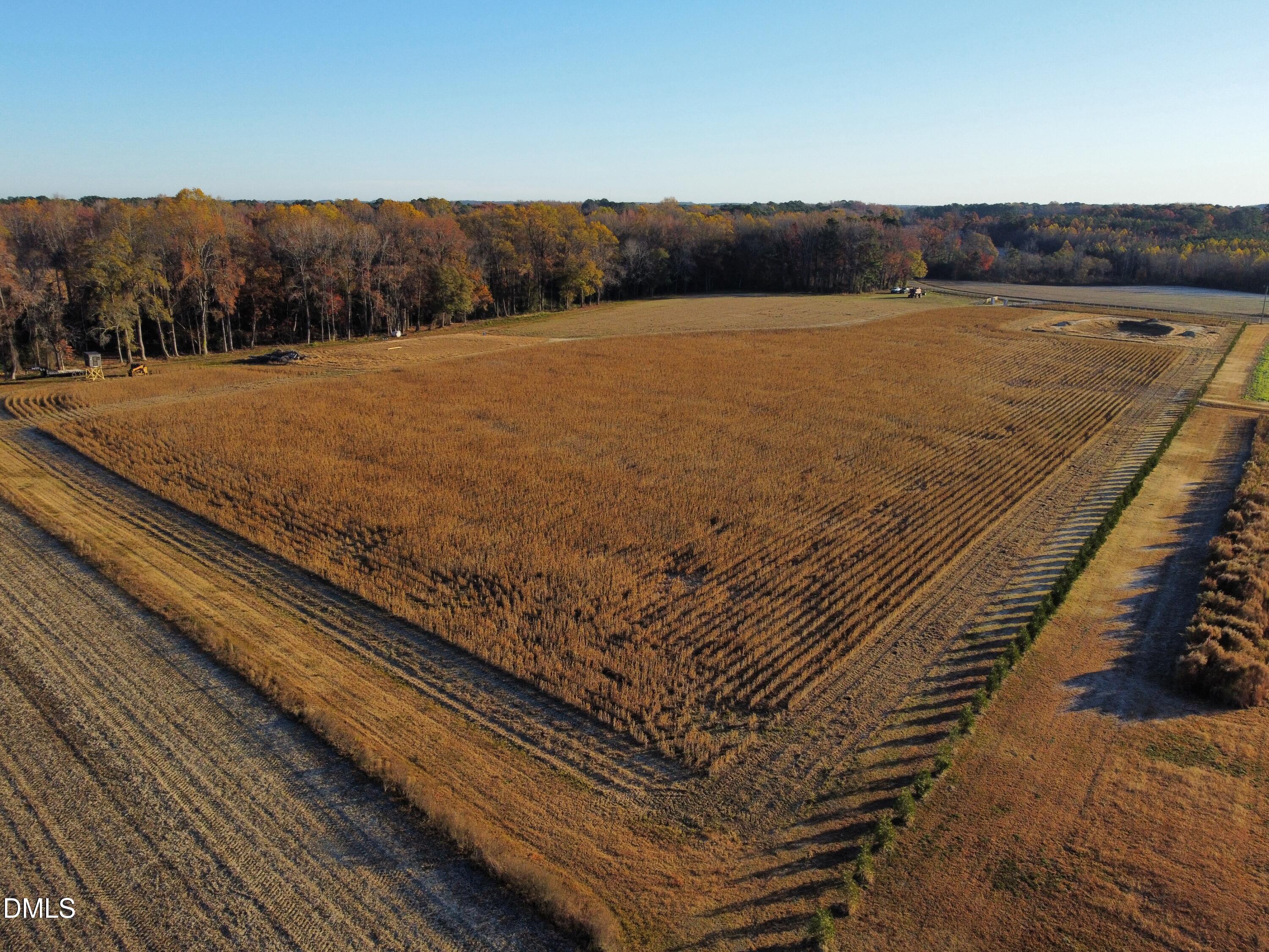 553 Ollie Road Kenly, NC 27542 - Photo 19 of 27 dji_fly_20251118_080000_101_176347103360