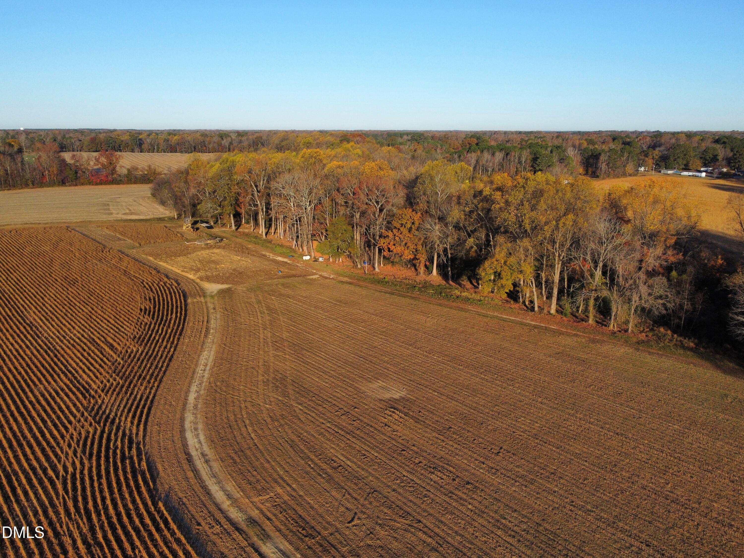 553 Ollie Road Kenly, NC 27542 - Photo 20 of 27 dji_fly_20251118_080110_103_176347102973