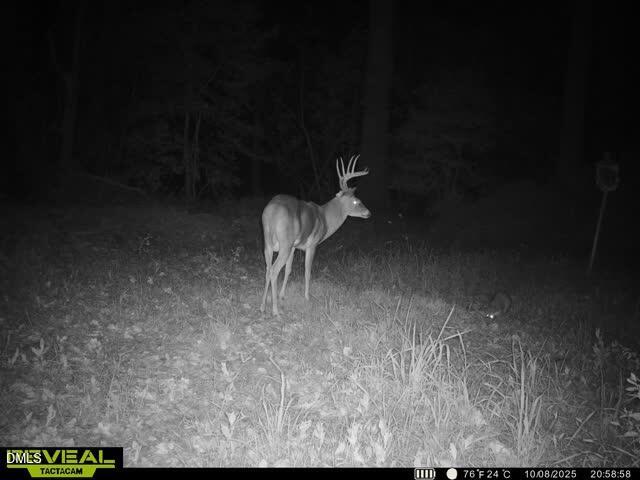 553 Ollie Road Kenly, NC 27542 - Photo 23 of 27 865509050858111-100-4-10082025205917-V-W