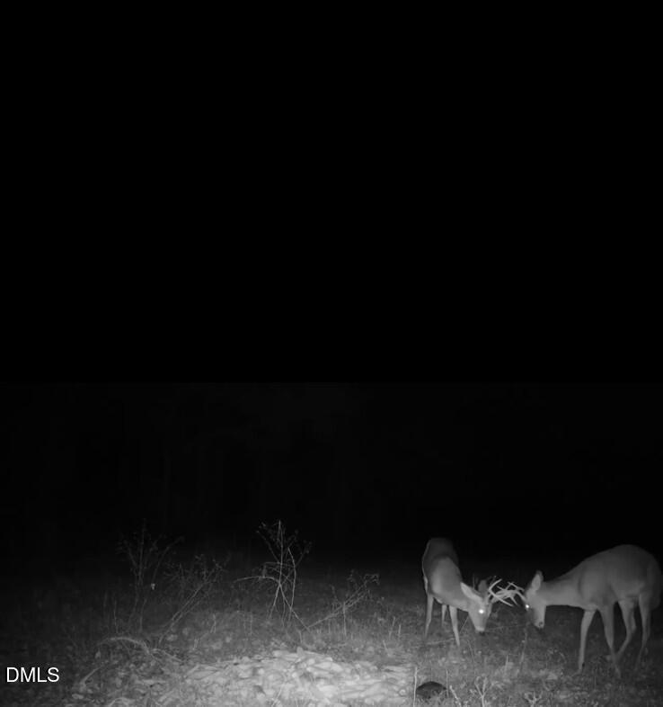 553 Ollie Road Kenly, NC 27542 - Photo 25 of 27 IMG_2461