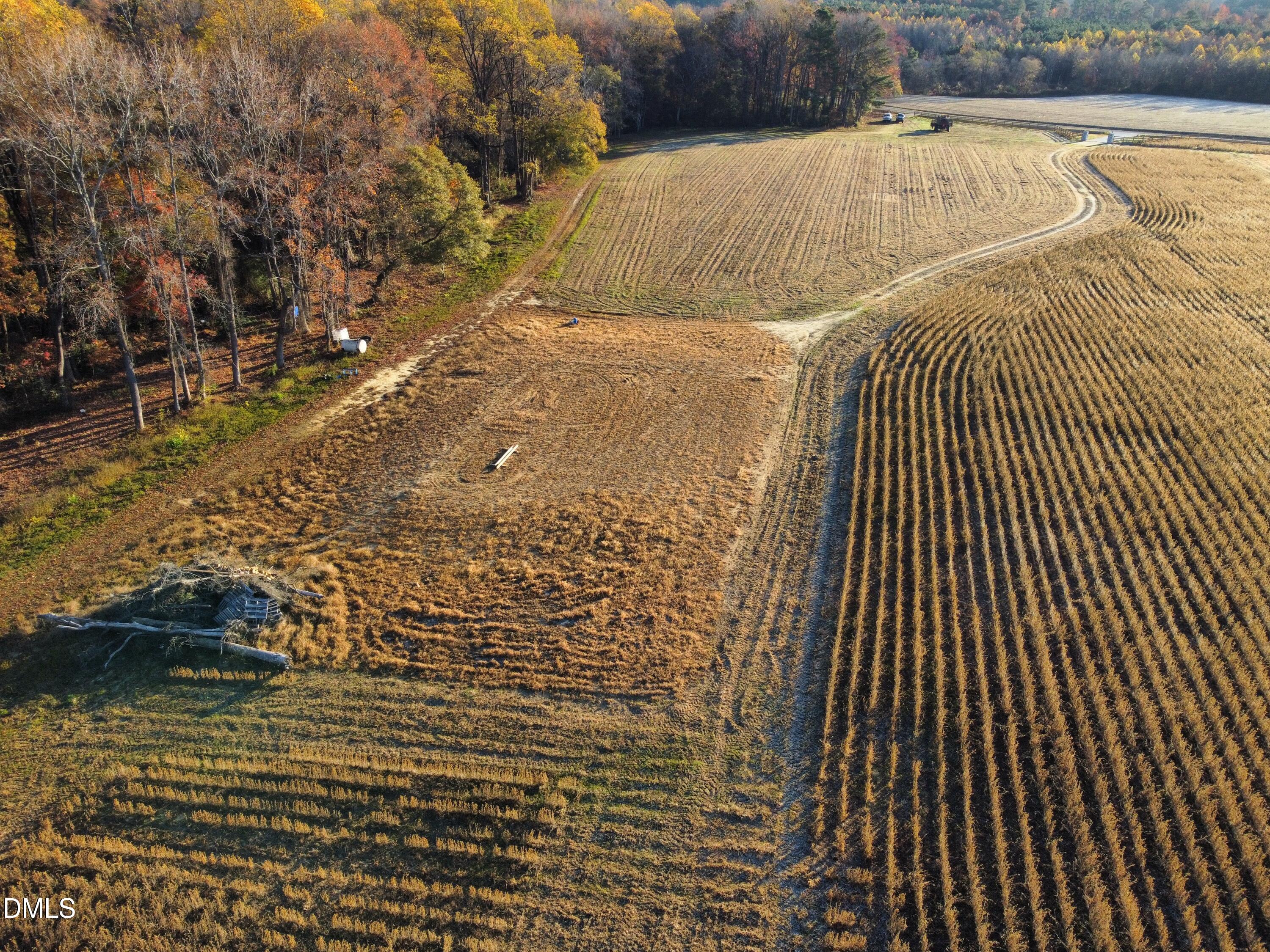 553 Ollie Road Kenly, NC 27542 - Photo 4 of 27 dji_fly_20251118_075924_100_176347103522