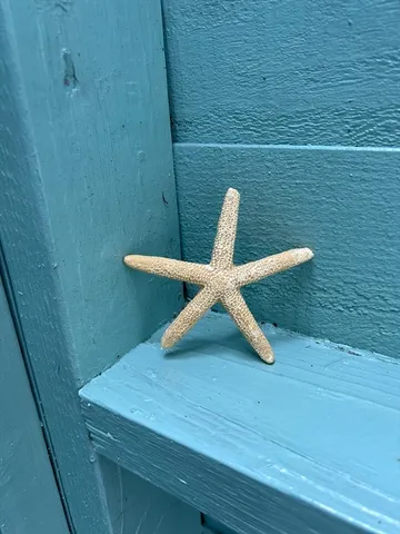 a view of a swimming pool with an outdoor space and seating area
