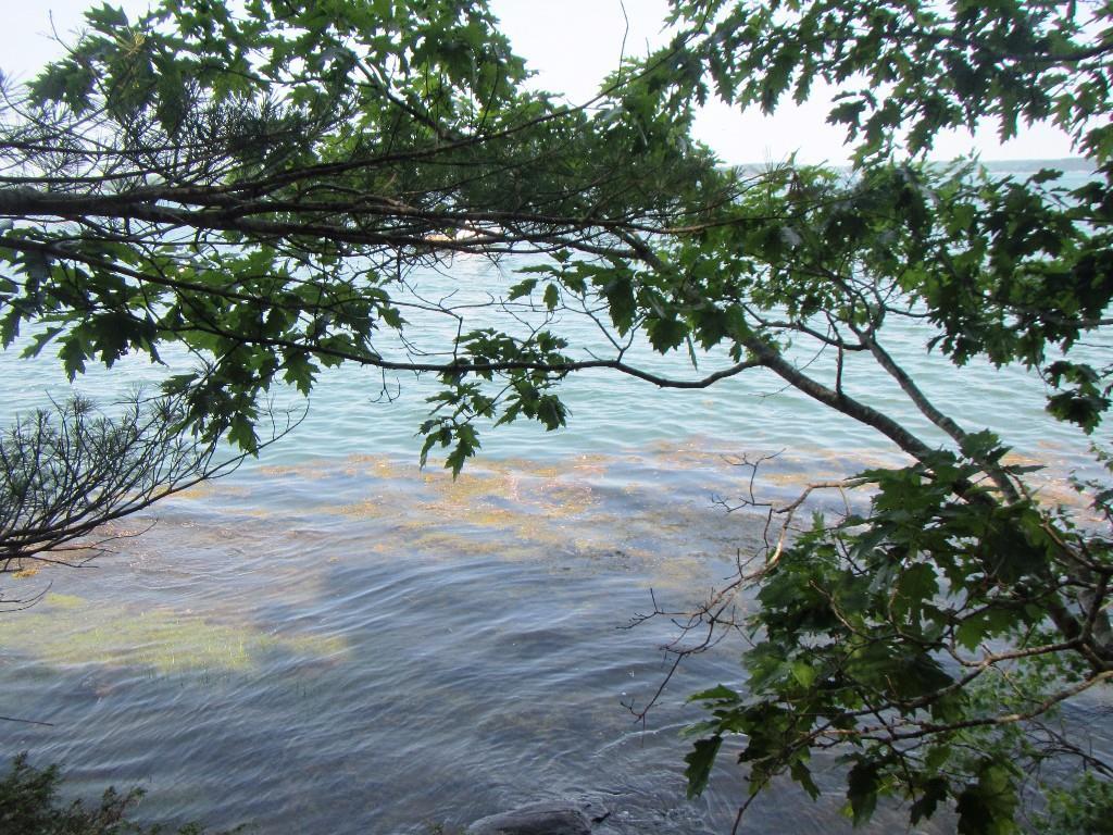 67 Brooks Point Road Westport Island, ME 04578 - Photo 10 of 22 Photo