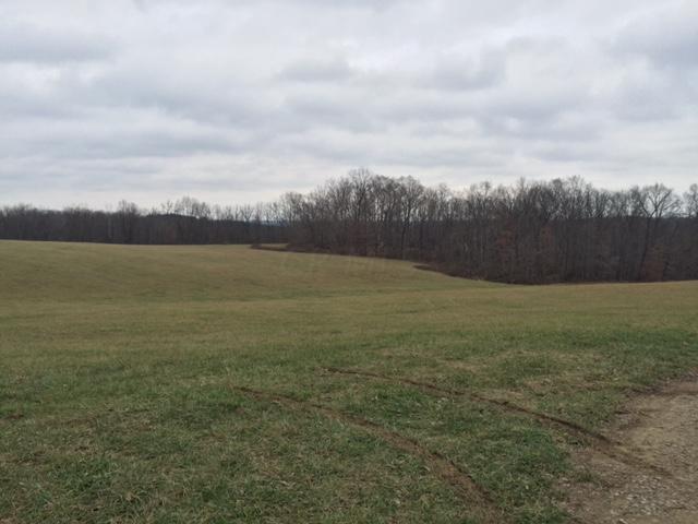 0 Slack Road Mount Perry, OH 43760 - Photo 2 of 6