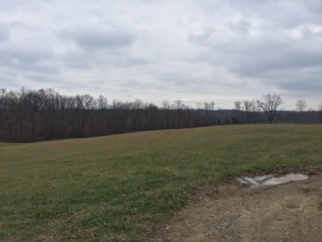 0 Slack Road Mount Perry, OH 43760 - Photo 3 of 6