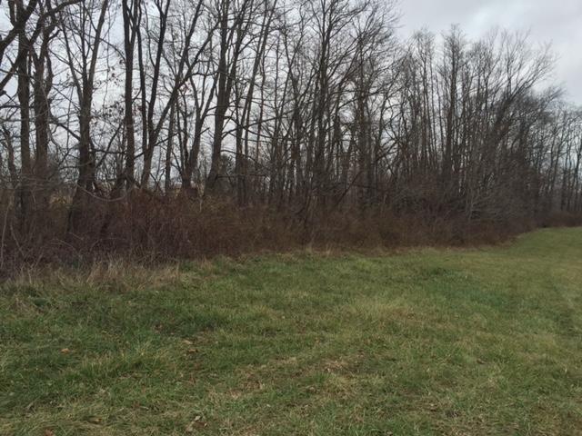 0 Slack Road Mount Perry, OH 43760 - Photo 4 of 6