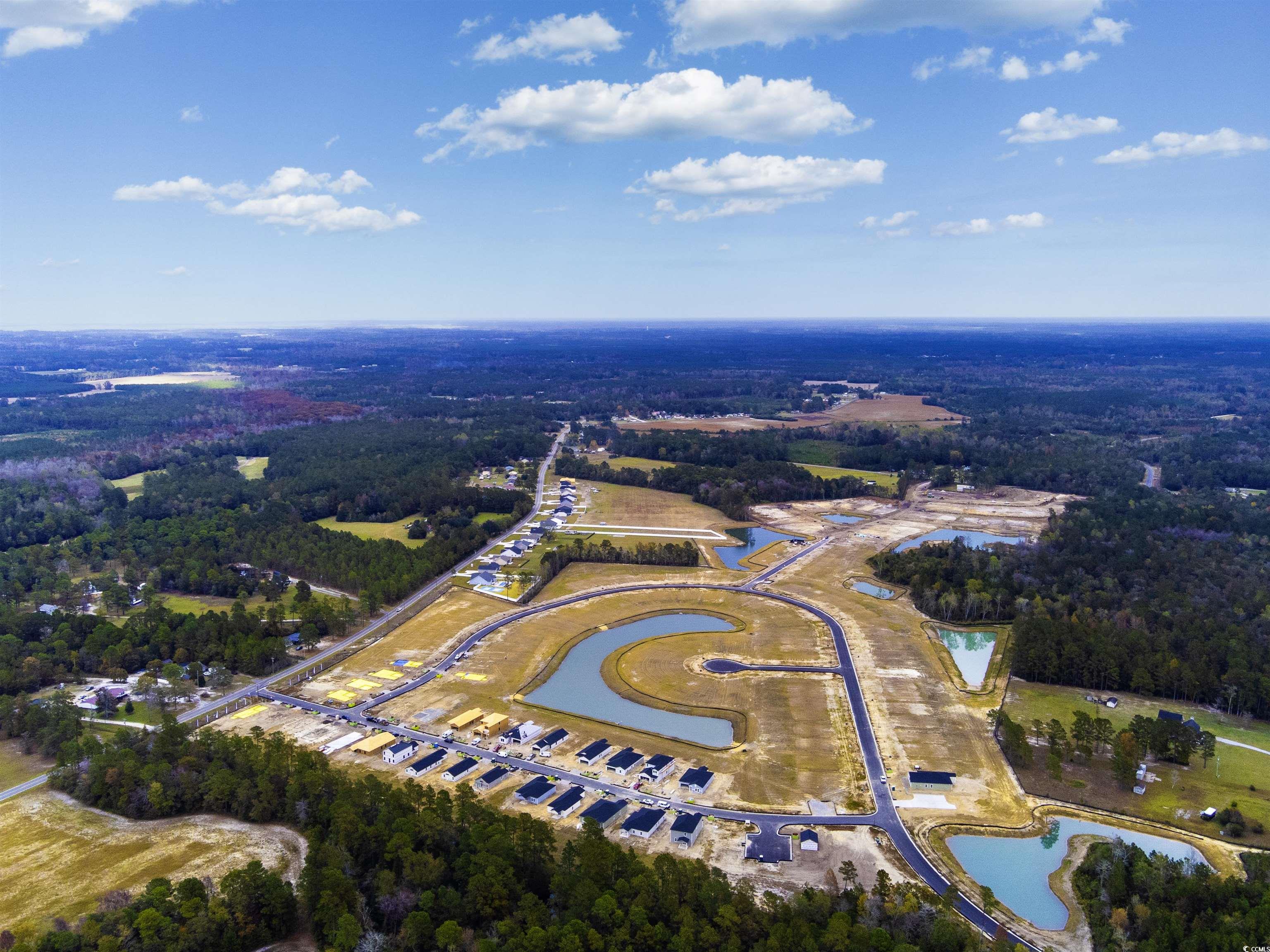 440 Ribbon Rail Way Loris, SC 29569 - Photo 24 of 32