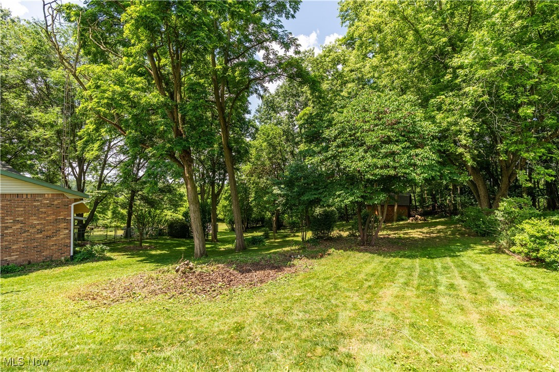 5535 Veldon Circle Northeast Canton, OH 44721 - Photo 38 of 41 Beautiful lot with trees.