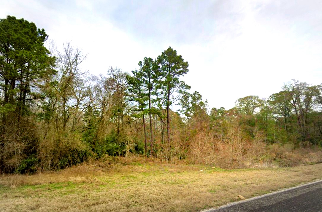 2-11-15 Tbd Remington Road Huntsville, TX 77340 - Photo 7 of 15 a view of yard with trees