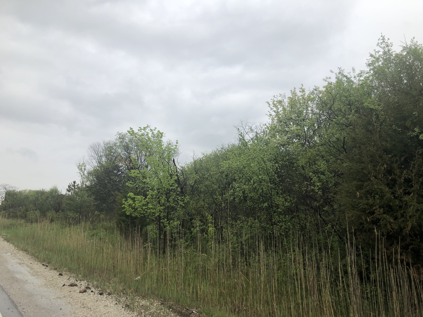 13815 McCarthy Road Lemont, IL 60439 - Photo 5 of 8 a view of lake