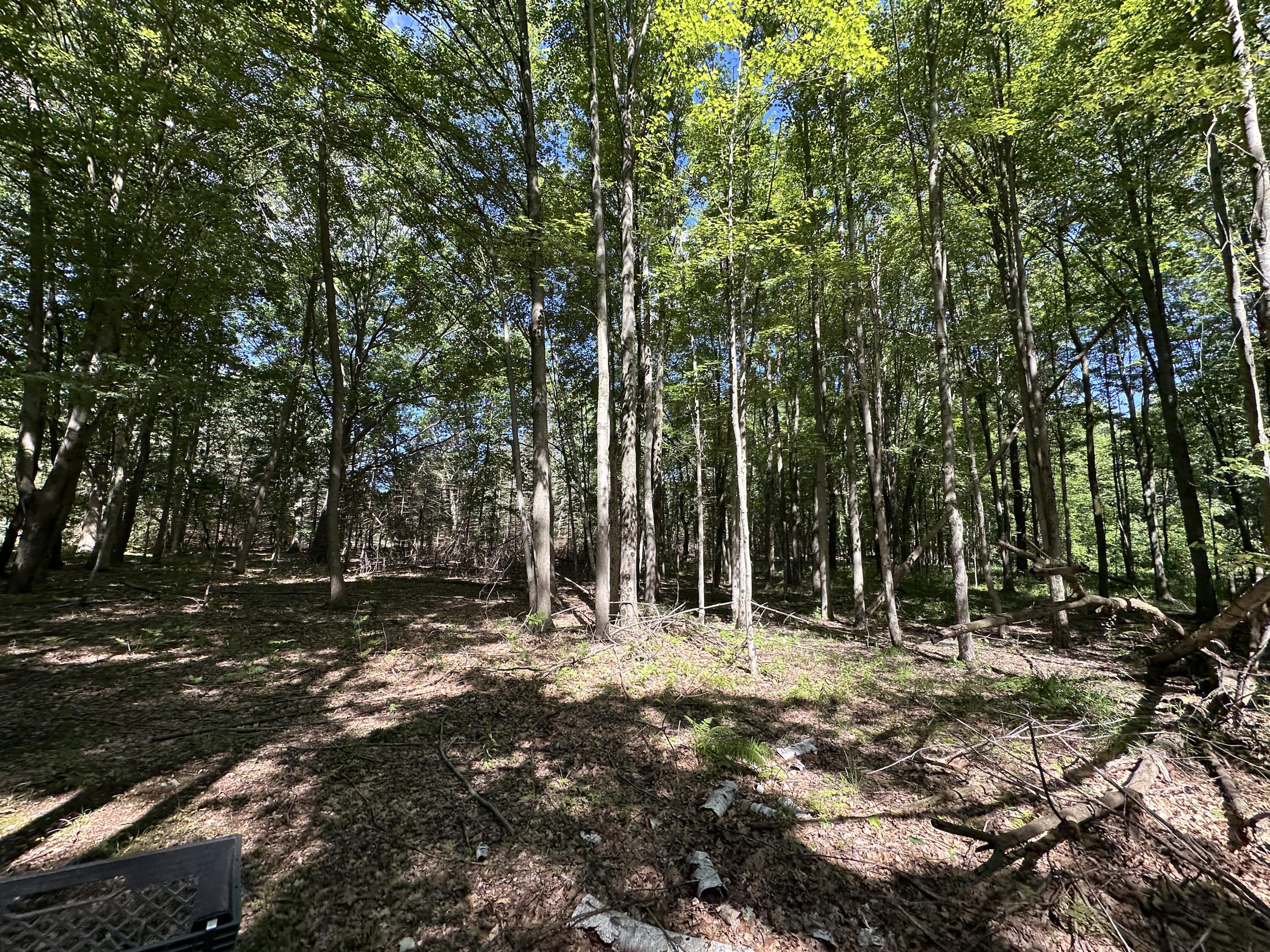 4485 South Miles Road Sheridan, MI 48884 - Photo 75 of 79 IMG_3689