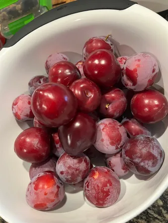 $669,900 | 338 Collamer Circle, Shelburne, VT 05482