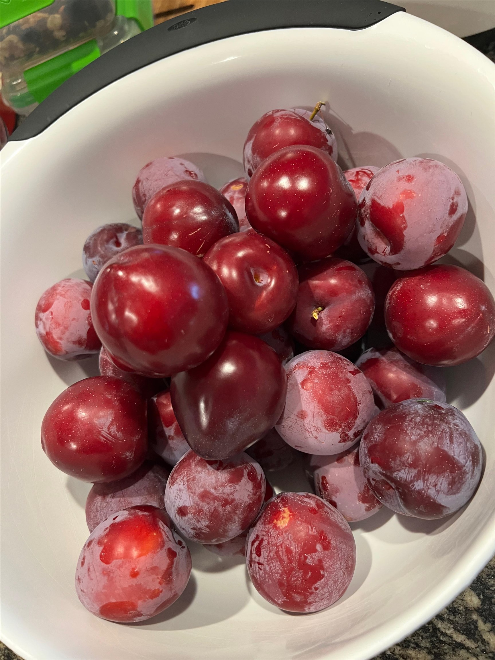 338 Collamer Circle Shelburne, VT 05482 - Photo 54 of 60