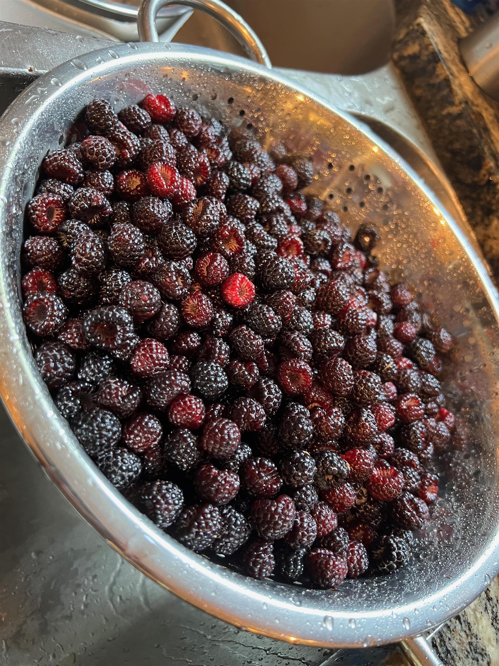 338 Collamer Circle Shelburne, VT 05482 - Photo 55 of 60