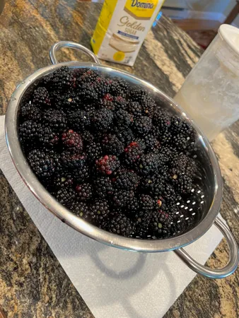 $669,900 | 338 Collamer Circle, Shelburne, VT 05482