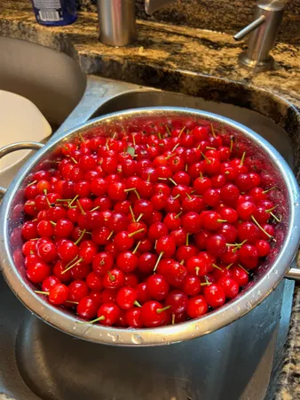 $669,900 | 338 Collamer Circle, Shelburne, VT 05482