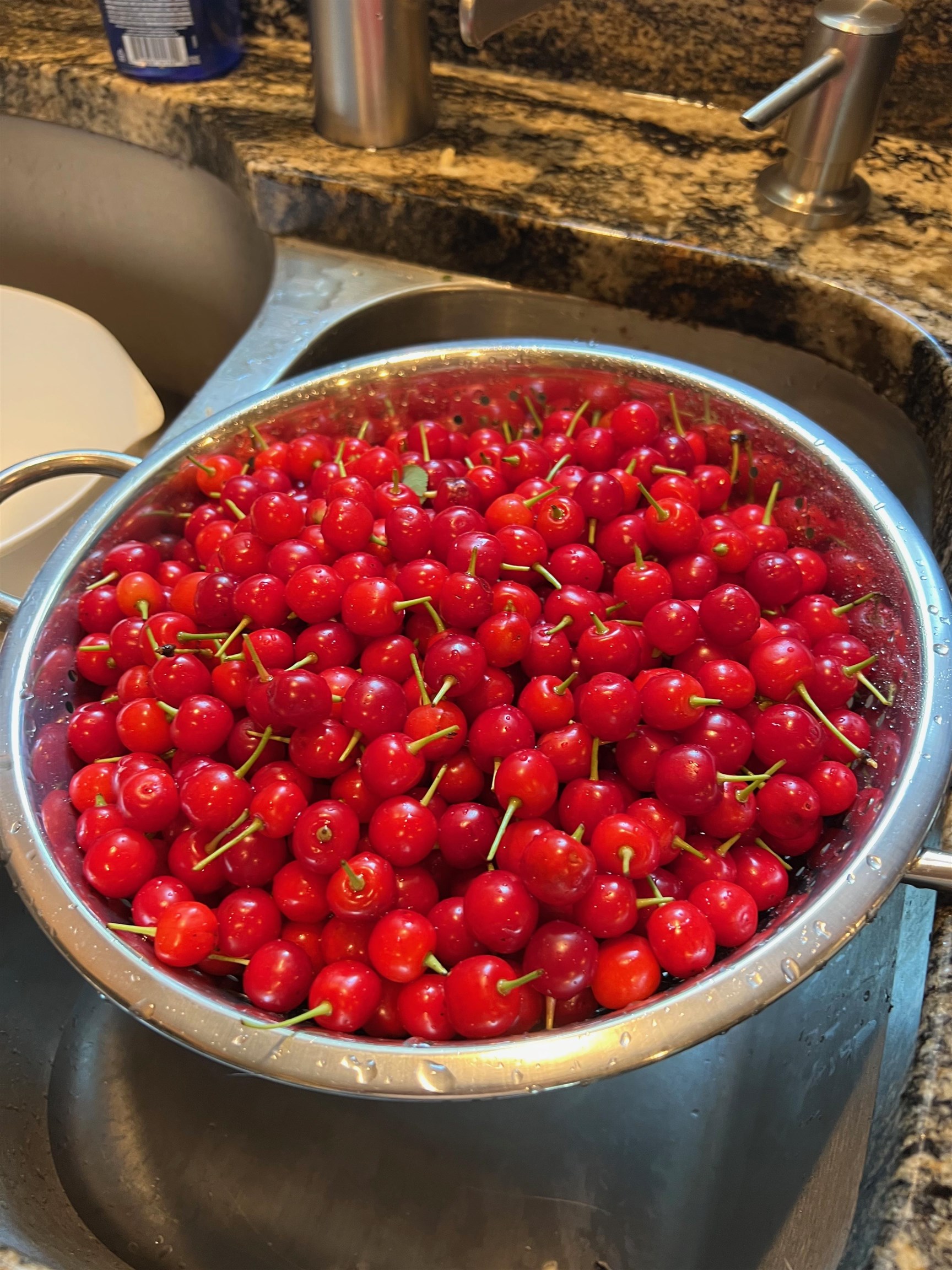 338 Collamer Circle Shelburne, VT 05482 - Photo 58 of 60