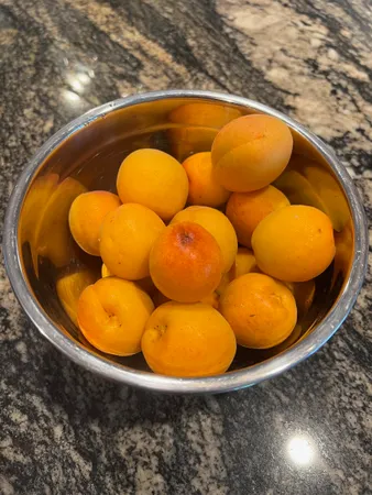 $669,900 | 338 Collamer Circle, Shelburne, VT 05482