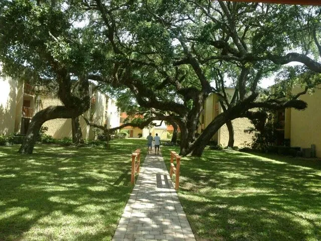 a view of yard with green space and trees