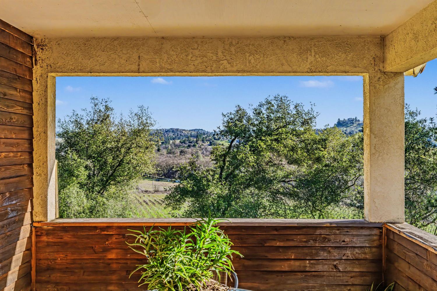 22707 Upton Road Plymouth, CA 95669 - Photo 65 of 99