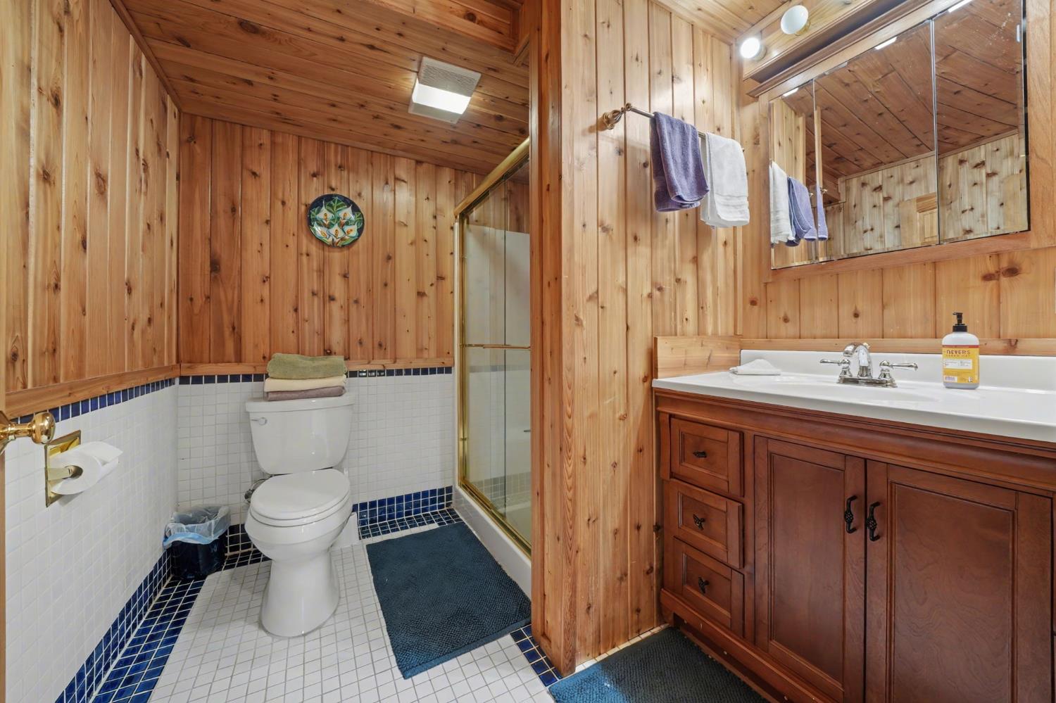 22707 Upton Road Plymouth, CA 95669 - Photo 70 of 99 a bathroom with a sink a toilet and shower