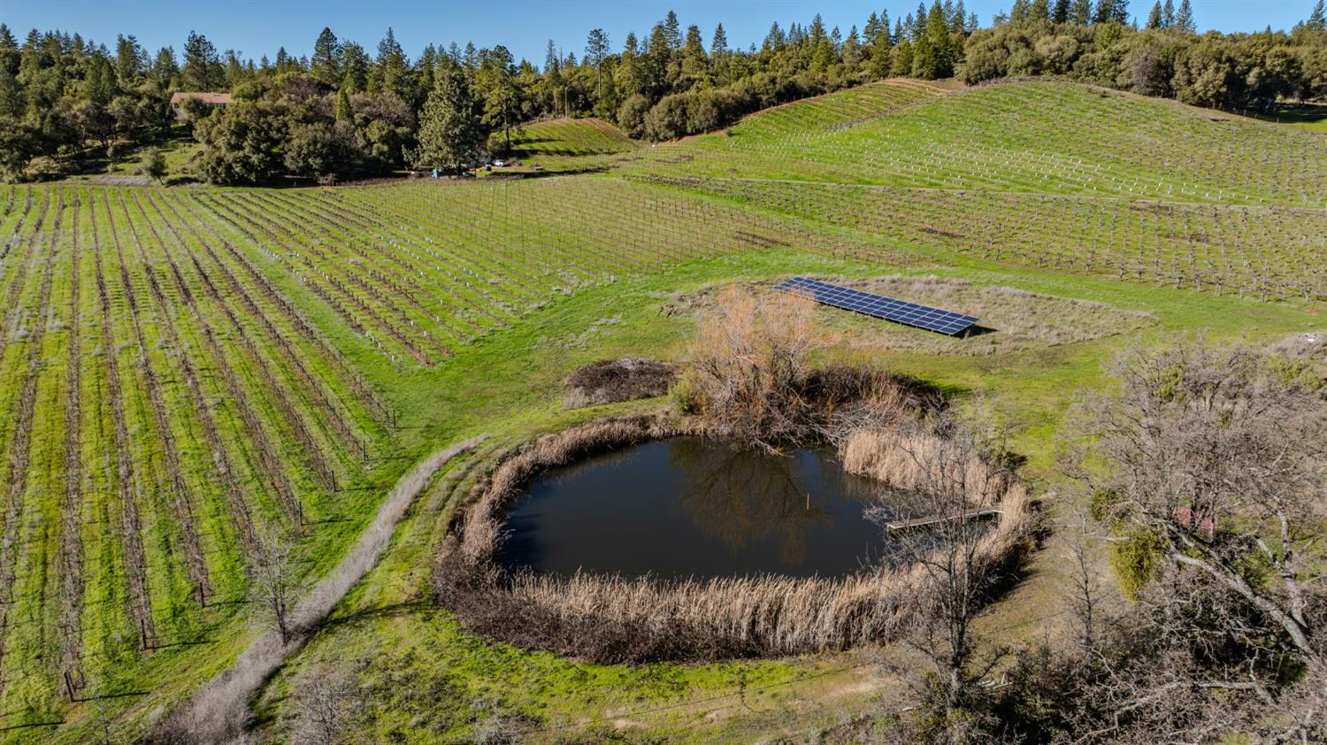 22707 Upton Road Plymouth, CA 95669 - Photo 74 of 99